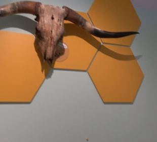 Museum für Naturkunde