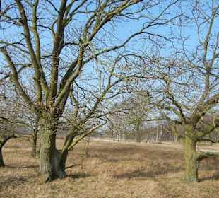 Wunderschöne Boberger Niederung