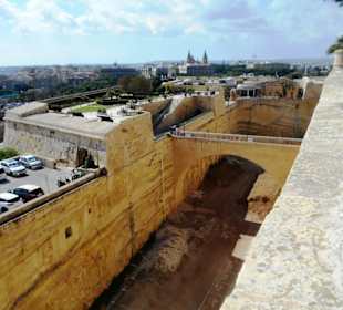 Saint John's Cavalier