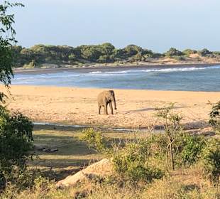 Hochland von Sri Lanka
