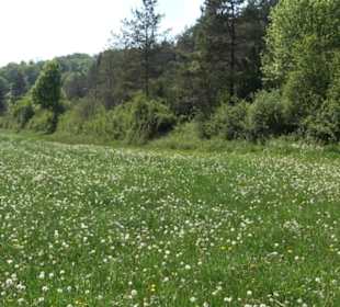 Premiumwanderweg Hochgehschätzt