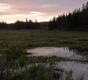 Algonquin Provincial Park, Abenddämmerung.