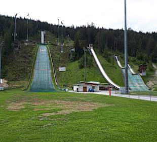 Ein schöner im Wald