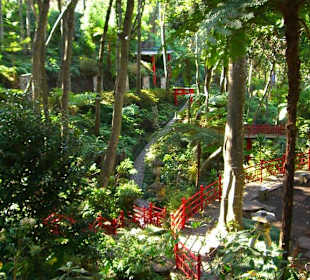 Monte Giardino tropicale