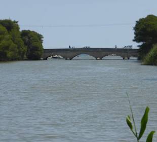 Im Parc natural de s’Albufera de Mallorca
