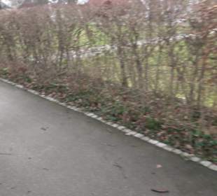 Kirchgarten Grünanlage - ehemaliger Friedhof