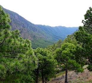 Traumhafte Landschaft