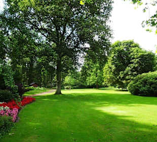Hochsommer im Kurpark Bruchhausen-Vilsen