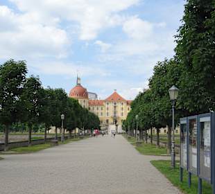 Schloss MoritzburgSchloss Moritzburg