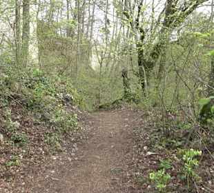 Wanderung rund um das Rusenschloss Gerhausen
