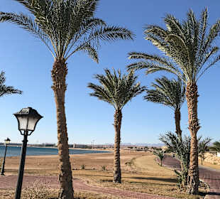 Strand Sahl Hasheesh