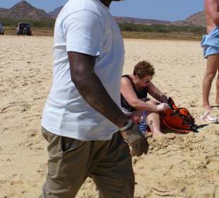 Die rechte Hand des Ausflugs-Gottes