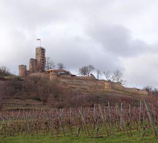 Ruine Wachtenburg
