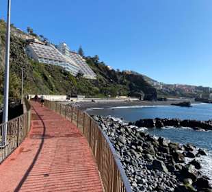 Hafenpromenade Funchal