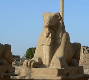 Ein wunderbarer Tag in Luxor