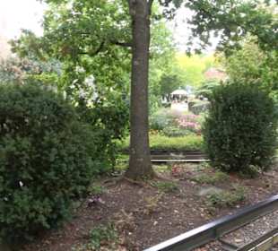 Erlebnispark Tripsdrill