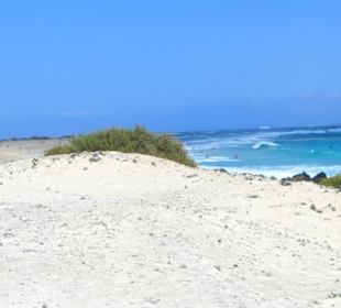 Sand dunes beach
