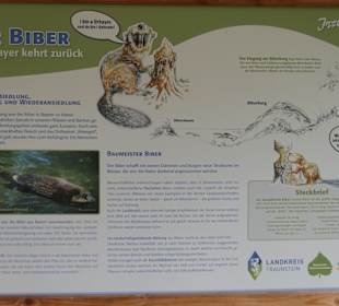 Bei der Moor-Wanderung (Inzeller Filzen)