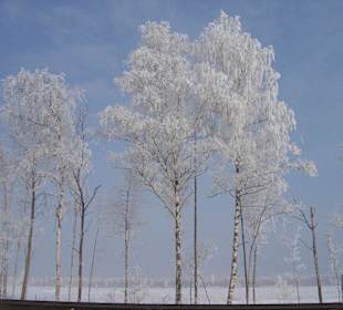 Winterimpressionen