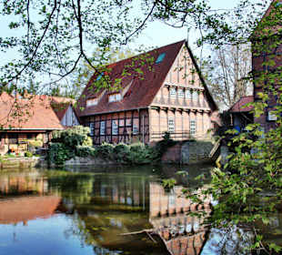 Dorfrundgang Wienhausen