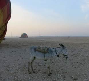 Impressionen nach Ballonfahrt über Luxor