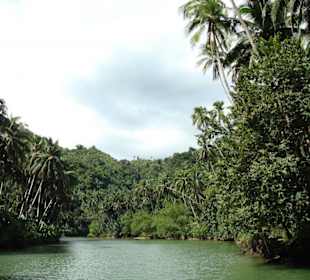 Wunderbare Landschaft