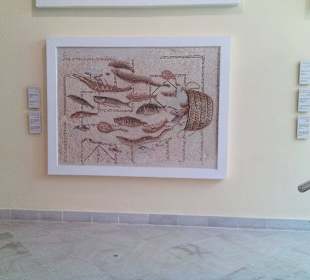 Museum mit Mosaiken, Ausgrabungen