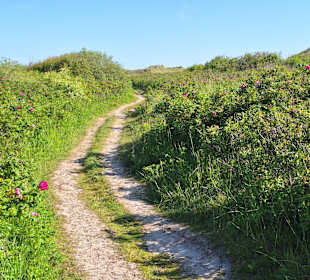 Wandern St. Peter-Ording