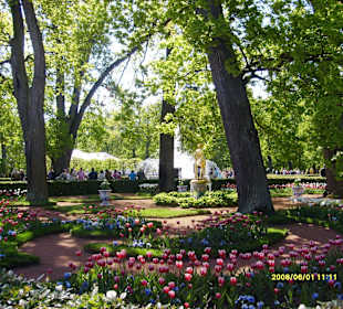 Peterhof