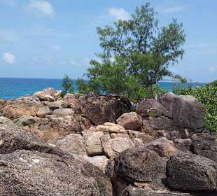 Ausflug mit Mario von Edelweiss Tours