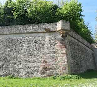 Bei der ab 1655 erbauten Mainzer Zitadelle