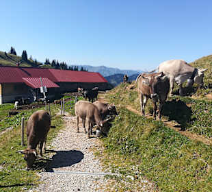 Wandern Oberstaufen
