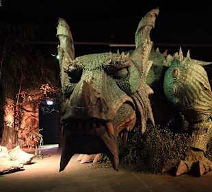 Der Further Drache schläft in seiner Höhle 