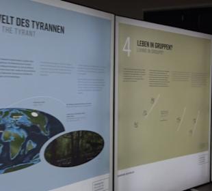 Dinosaurier Museum Altmühltal