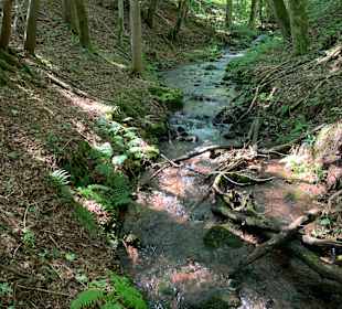 Wandern Friedrichroda