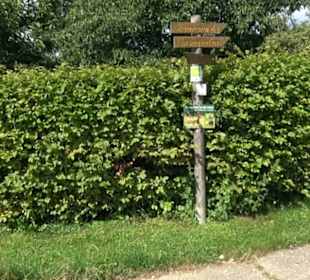 Hochgehnießen - Premiumspazierwanderweg