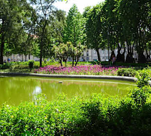 Der See im Jardim de João Chagas
