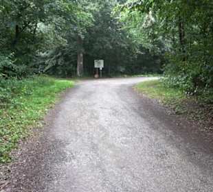 FriedWald Schönbuch