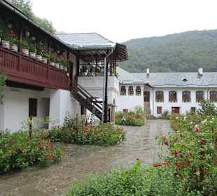 Mănăstirea Cozia
