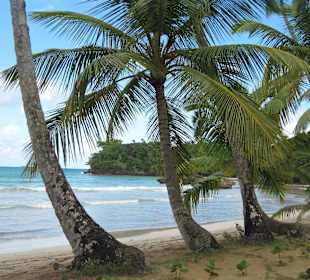 Samaná - Las Terrenas