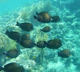 Egal wo...man hat immer was zu sehen