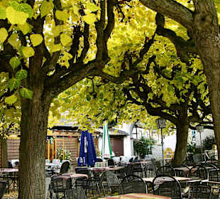 Auf der Terrasse das Altenwegshofes