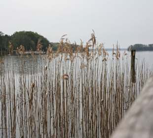 Morgenstimmung am See