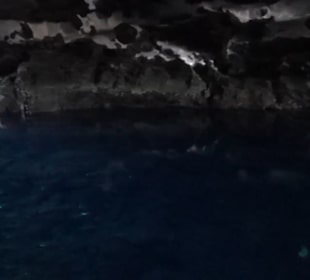 Jameos del Agua 