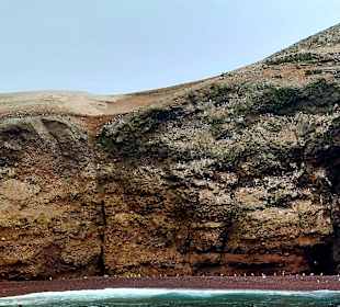 Ausflug Ballestas Inseln