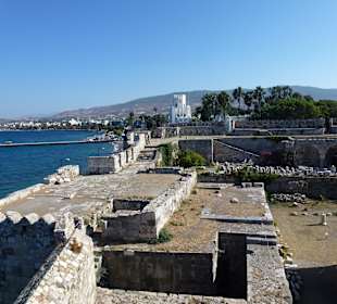 Kos