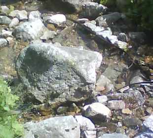 Tatrzański Park Narodowy