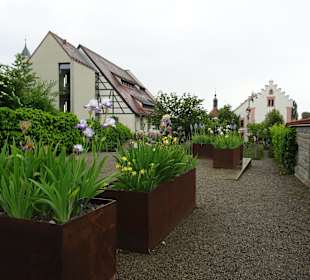 Rosenobelgärten