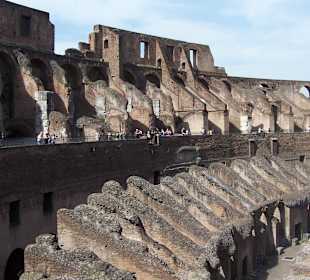 Roma Mia Tours