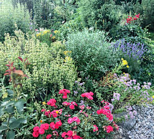 Wandern Reith im Alpbachtal